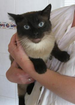 Pancho Bild von Pancho