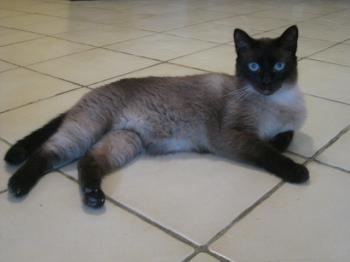 Pancho Bild von Pancho