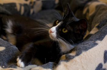 Bild von Jerry
