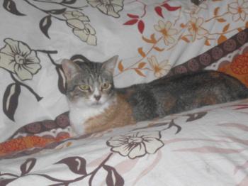 Bild von Gretel