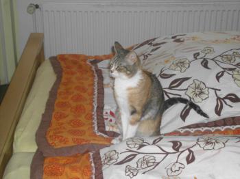 Bild von Gretel