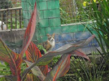 Bild von Gretel