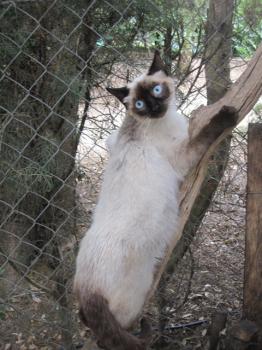 Marisol Bild von Marisol