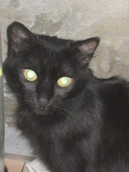 Bild von Leila