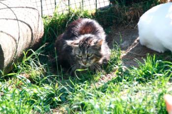 Sawyer Bild von Sawyer