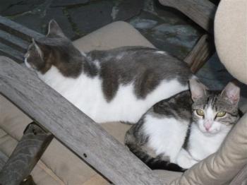 Lilian Bild von Lilian