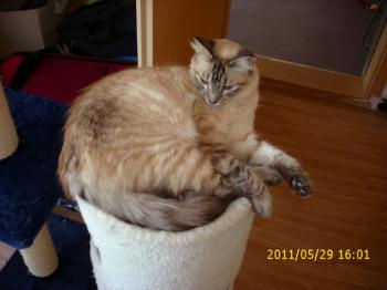 Bild von Sammy