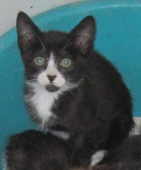 Bild von Fanny