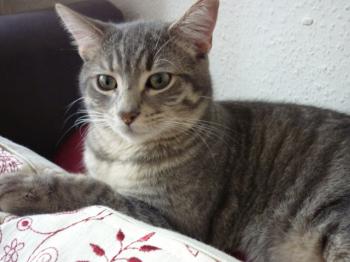Berni Bild von Berni