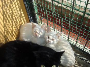 Muffin+Cashew Bild von Muffin