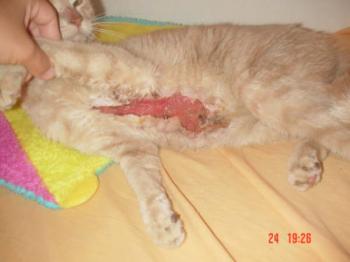 Bild von Linda