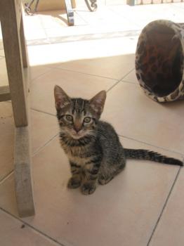 Bild von Rafaela