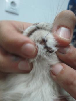 Milagritos Bild von Milagritos