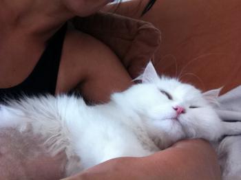Fluffy Bild von Fluffy