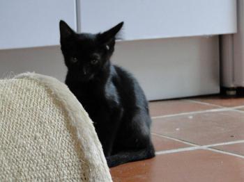 Ohne Namen 4242 Bild von Lolita