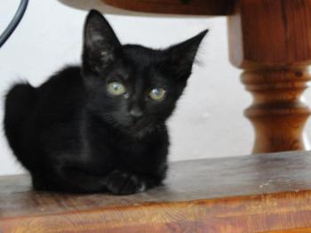 Ohne Namen 4242 Bild von Lolita