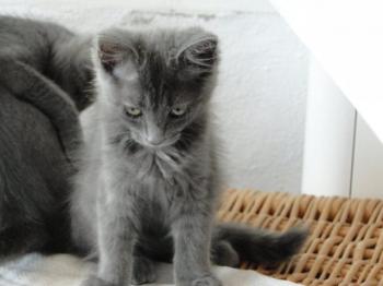 Ohne Namen 4243 Bild von Mila