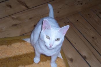 Anna Bild von Anna