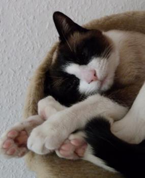 Nora Bild von Nora