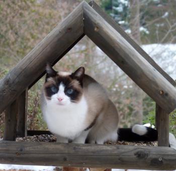 Nora Bild von Nora