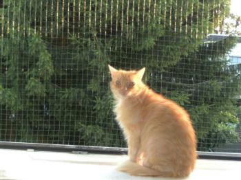 Friki Bild von Friki