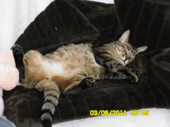 Max Bild von Max