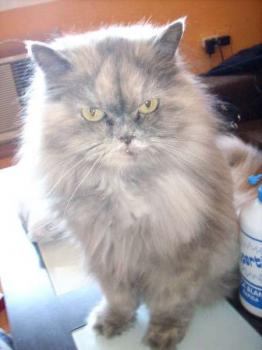 Magui Bild von Magui