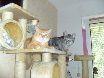 Dimas Bild von Dimas