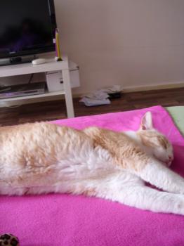 Balu 5221 Bild von Balu 5221