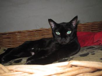 Dori Bild von Dori