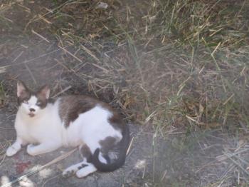 Moritz Bild von Moritz