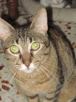 Bild von Kimmi