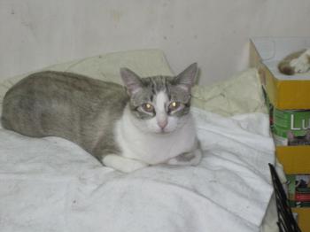 Bild von Sissi