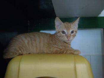 Bubi Bild von Bubi