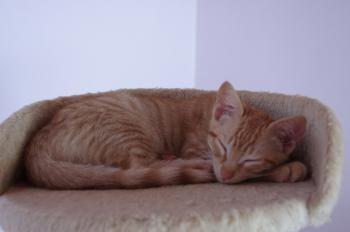 Bubi Bild von Bubi