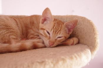Bubi Bild von Bubi