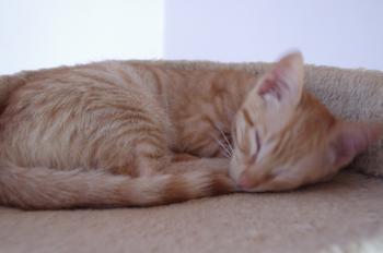 Bubi Bild von Bubi