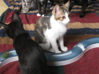 Paco Bild von Paco