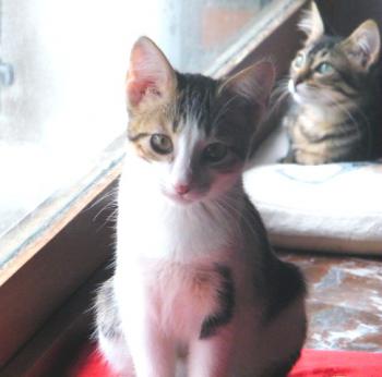 Paco Bild von Paco