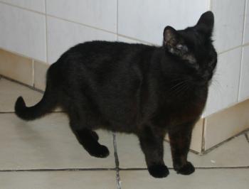 Tara Bild von Tara