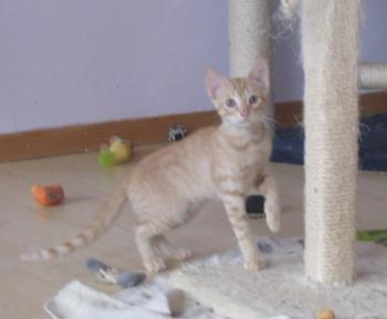 Bubi Bild von Bubi