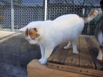 4681 Bild von 4681 - Milow