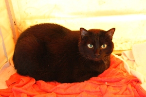 Pancho Bild von Pancho