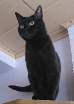 Tara Bild von Tara