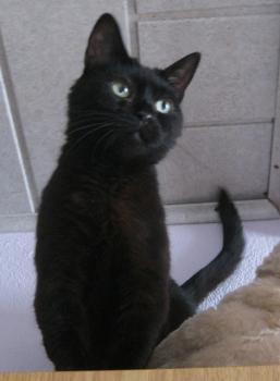 Tara Bild von Tara