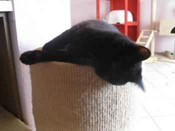 Tara Bild von Tara