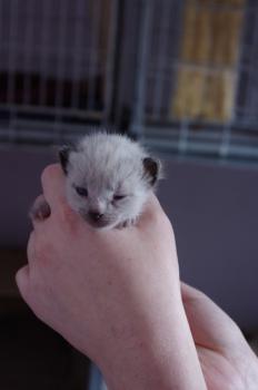 Noch Namenlos 4350 Bild von Klara