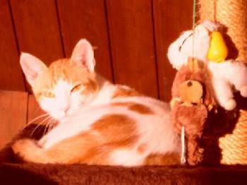 Foster Bild von Foster