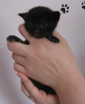 Bild von Lucia
