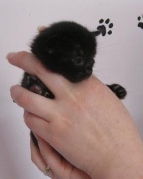 Bild von Lucia
